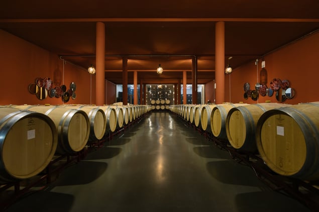 BODEGA CRIANZA