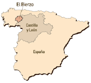 Bierzo-mapa-1