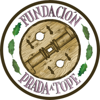 LOGO FUNDACION DEFINITIVO