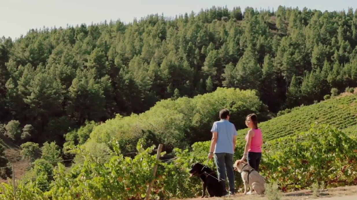 En este momento estás viendo #10MotivosATope: El Palacio de Canedo, un lugar accesible