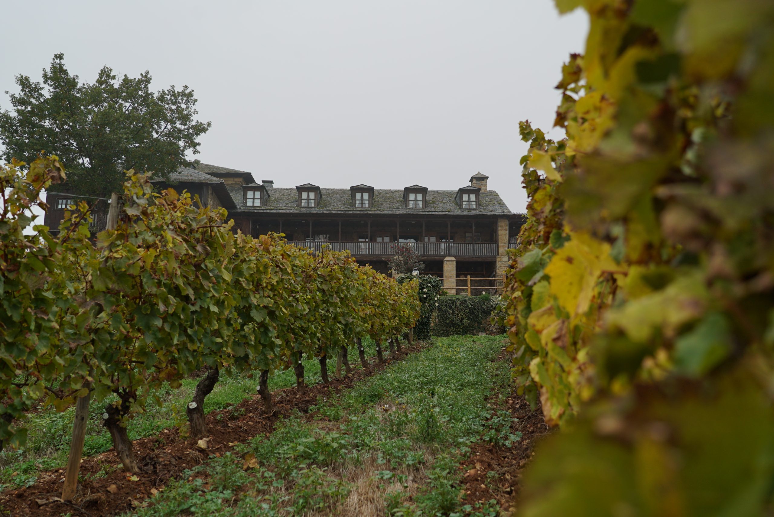 You are currently viewing El Bierzo en otoño, con Prada A Tope