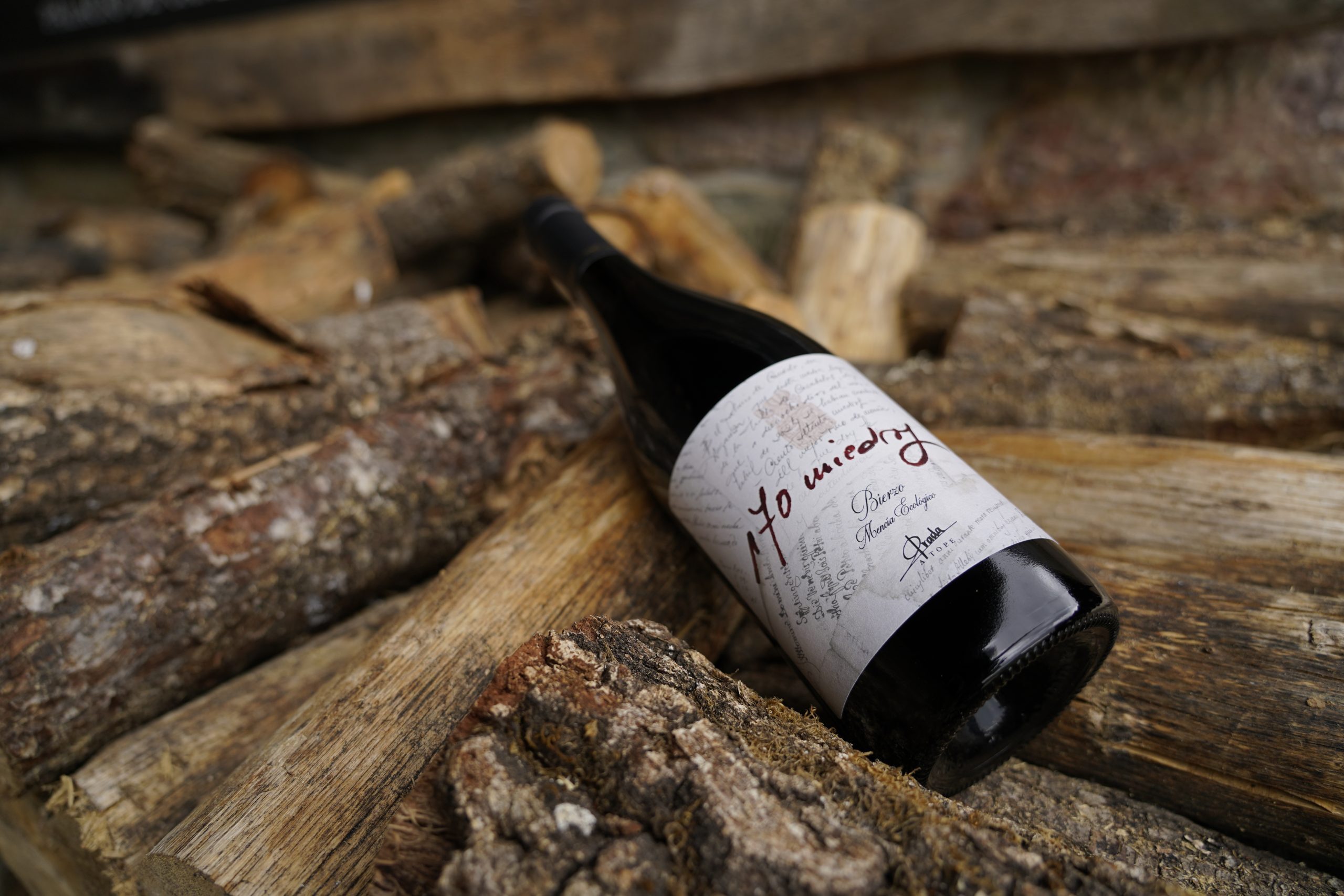 En este momento estás viendo 170 miedros, un homenaje a la historia del Palacio de Canedo