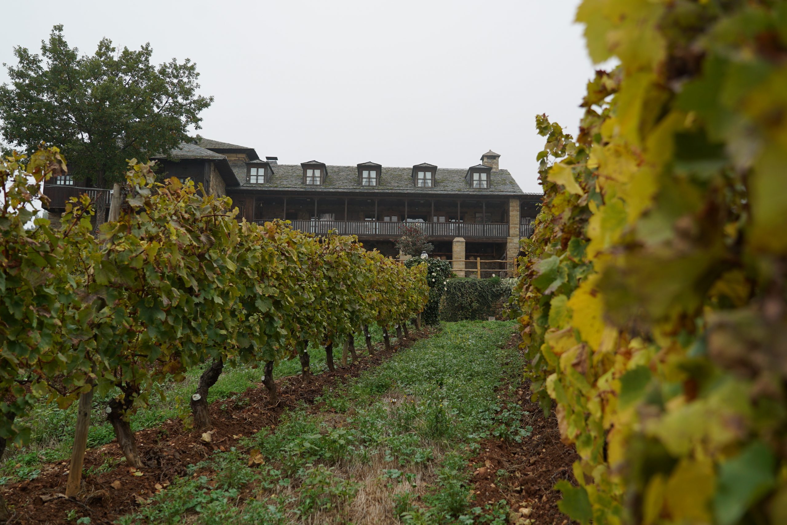 En este momento estás viendo Septiembre, disfruta del enoturismo A Tope