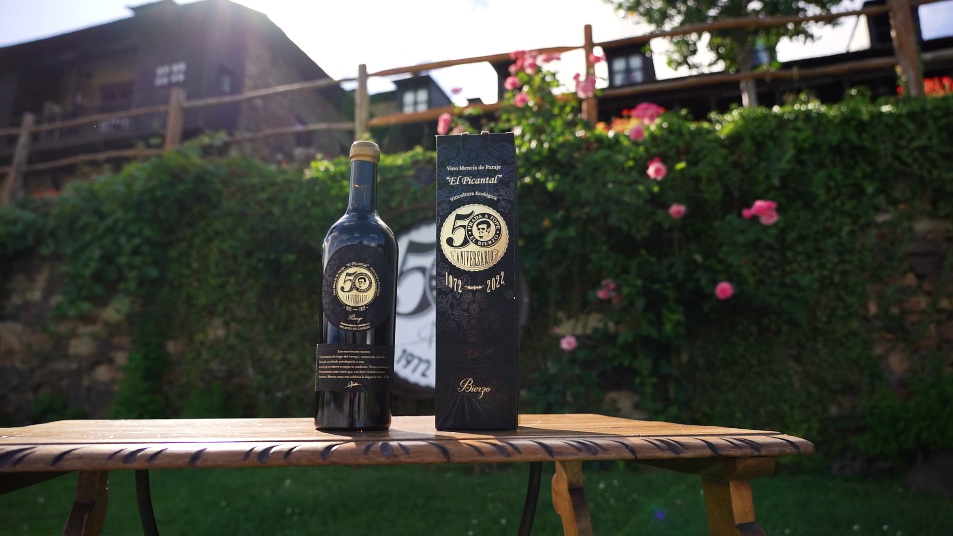 You are currently viewing Mencía 50 Aniversario 2017, un vino para celebrar medio siglo