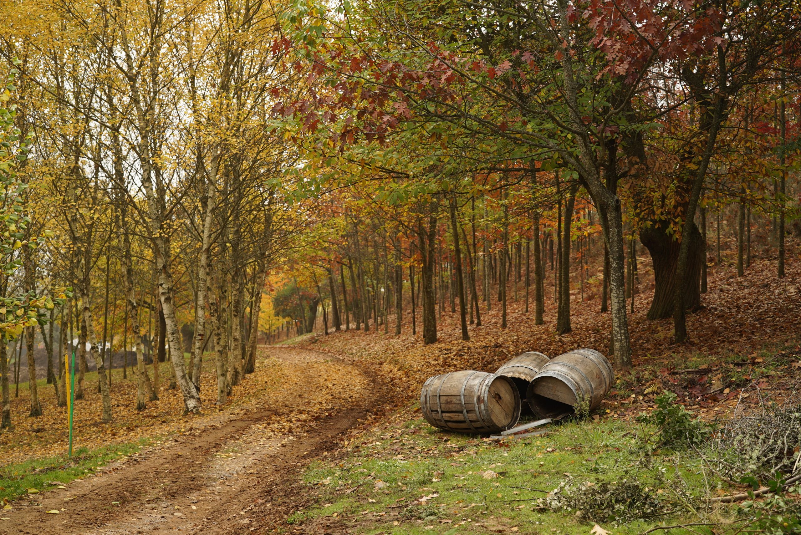 You are currently viewing El Palacio de Canedo, un enclave privilegiado en el Bierzo
