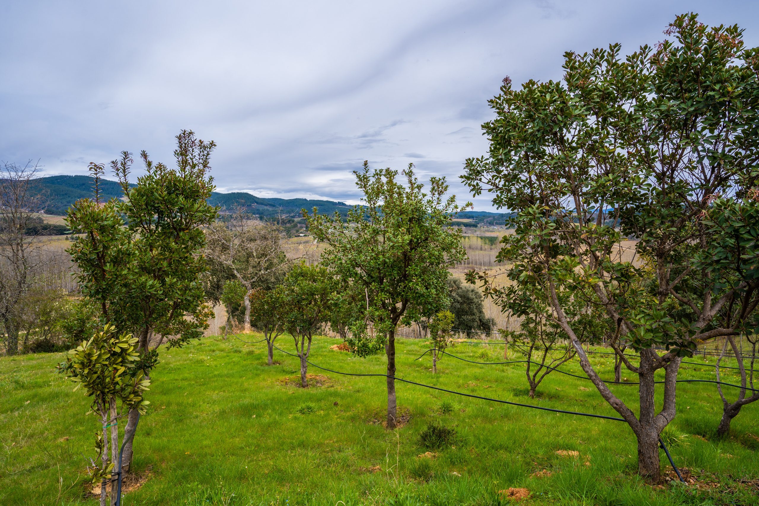 En este momento estás viendo El Bosque Didáctico de Prada A Tope, un legado para el futuro