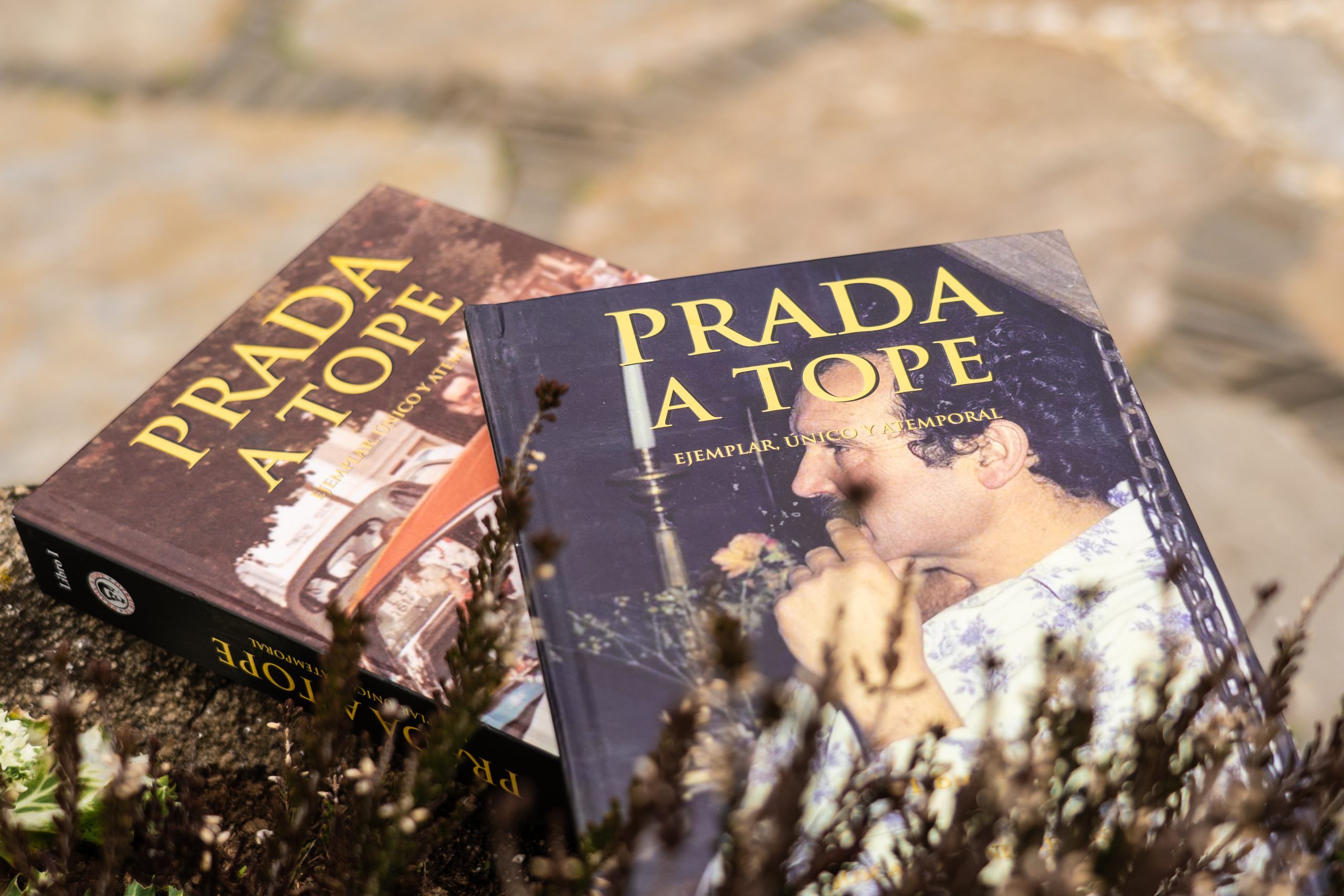 You are currently viewing PRADA A TOPE Ejemplar único y atemporal (Volúmenes I y II)