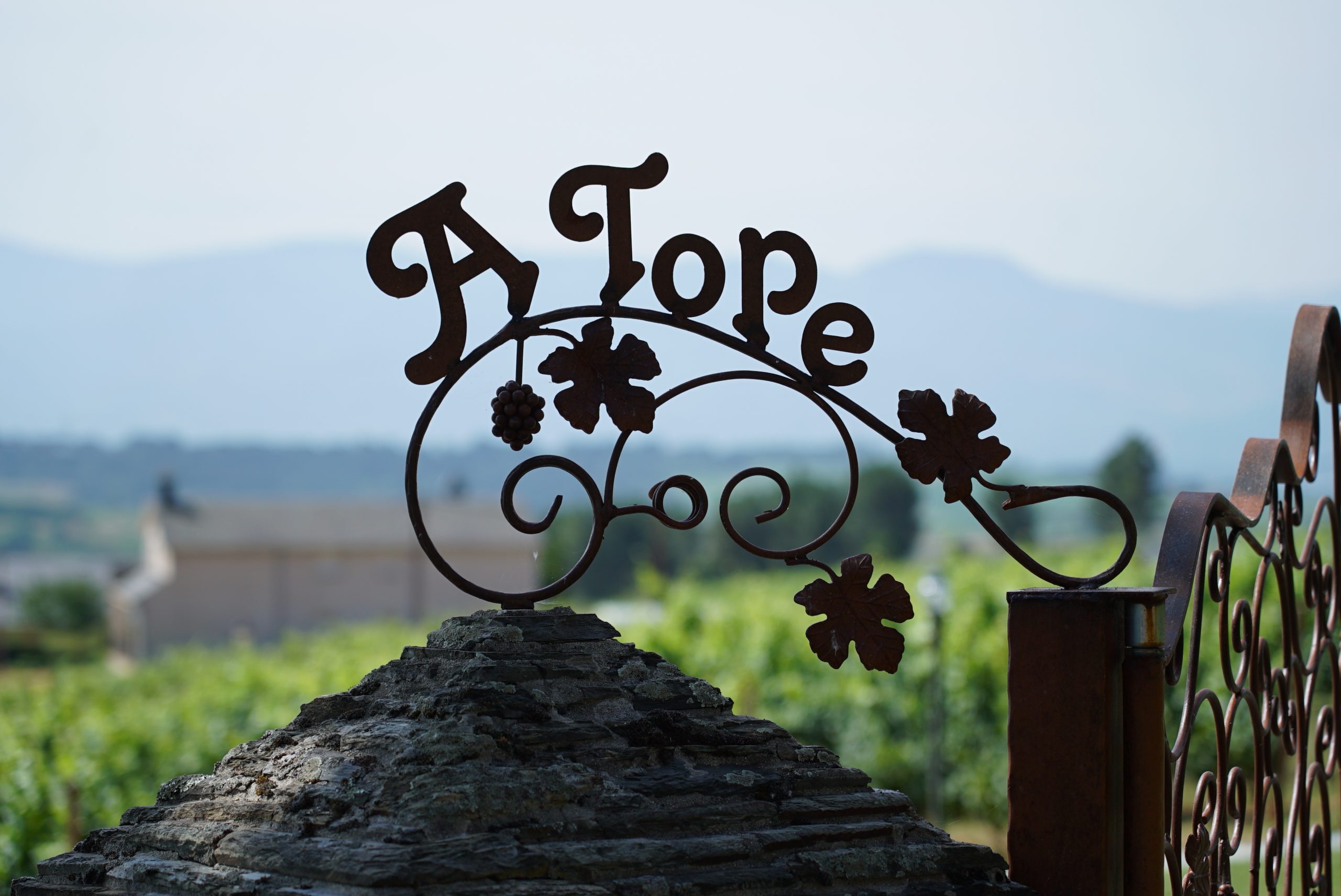 En este momento estás viendo Prada A Tope cruza fronteras