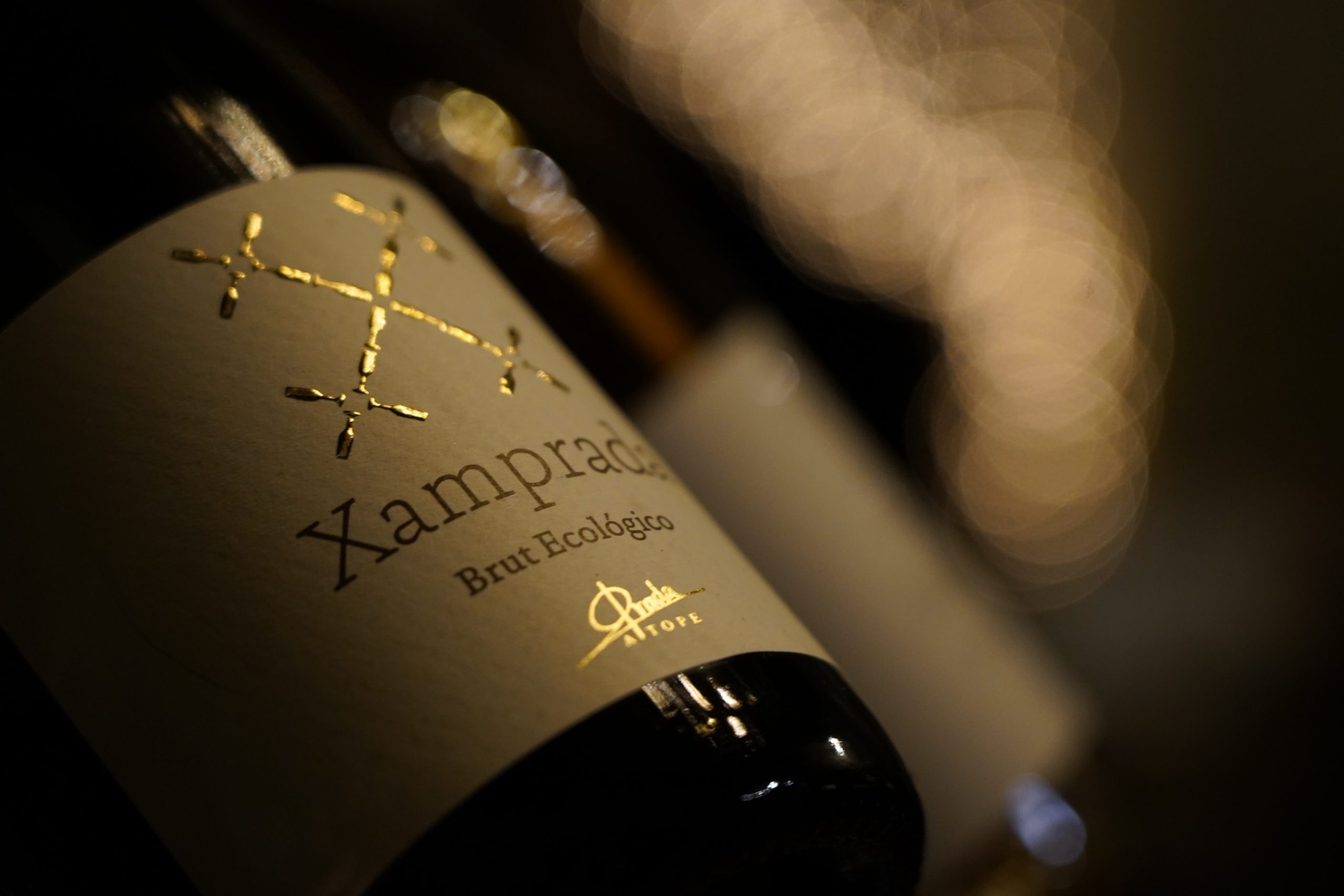 You are currently viewing Xamprada inaugura la vendimia en El Bierzo