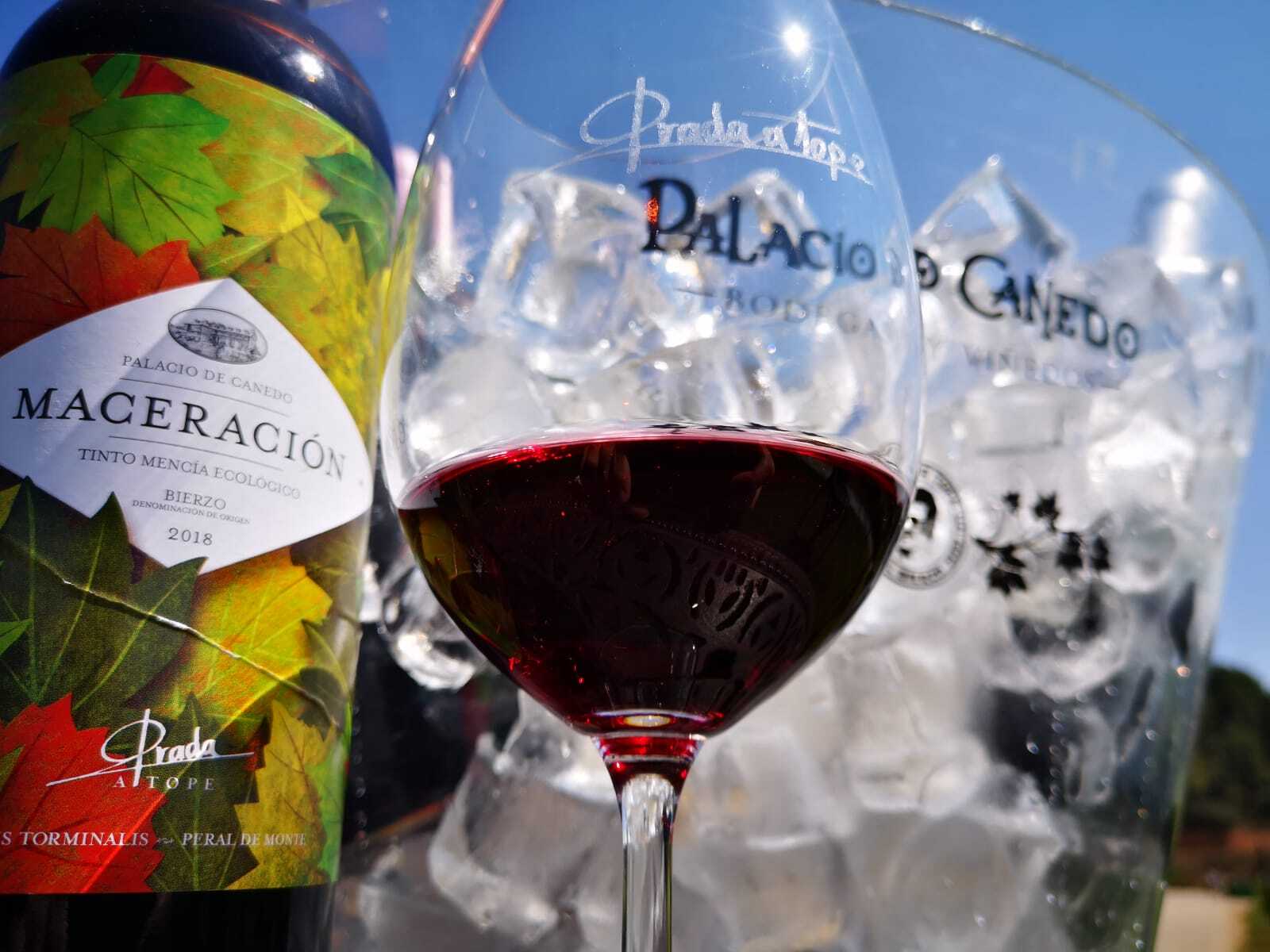 En este momento estás viendo Maceración, un vino para disfrutar A Tope todo el año