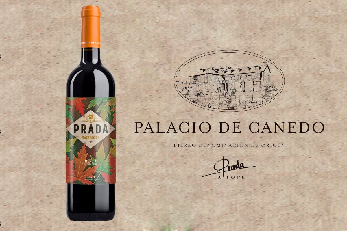 En este momento estás viendo ¿Preparados para la XVI Fiesta del Vino Nuevo de Palacio de Canedo?