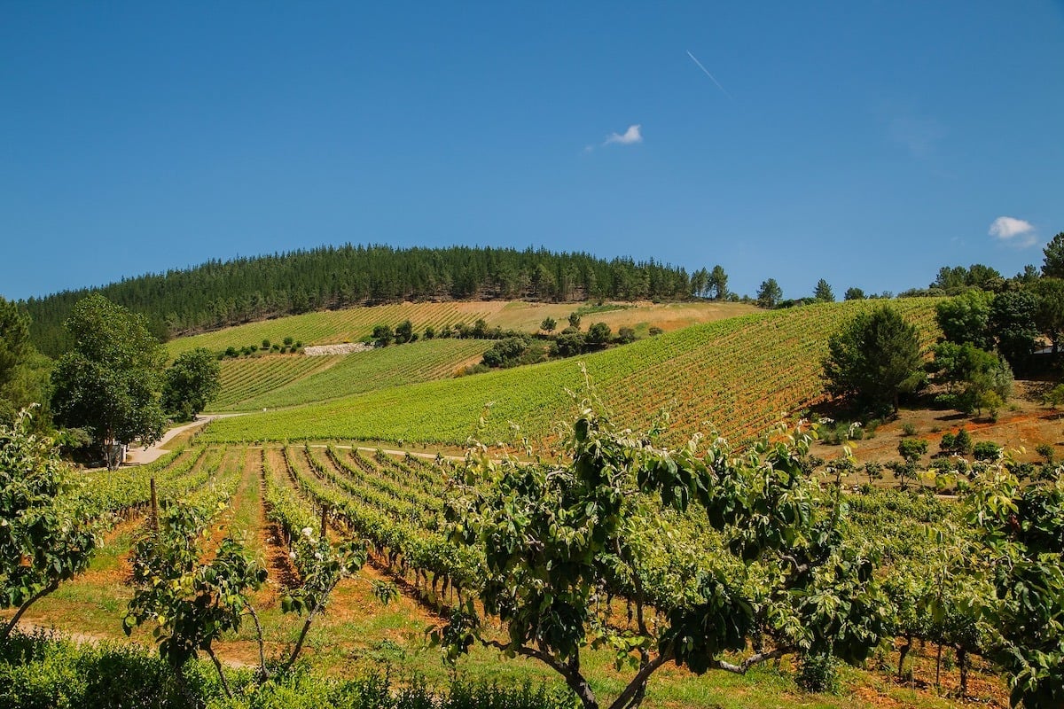 You are currently viewing Palacio de Canedo, disfruta de la naturaleza A Tope