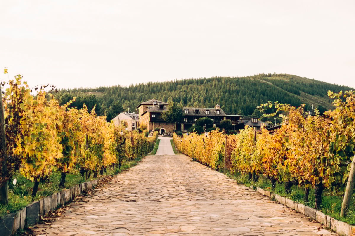 You are currently viewing Otoño en El Bierzo… sublime
