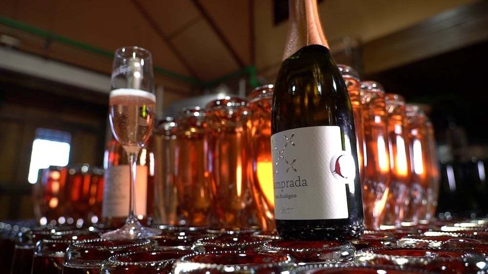 You are currently viewing Xamprada, el espumoso de El Bierzo