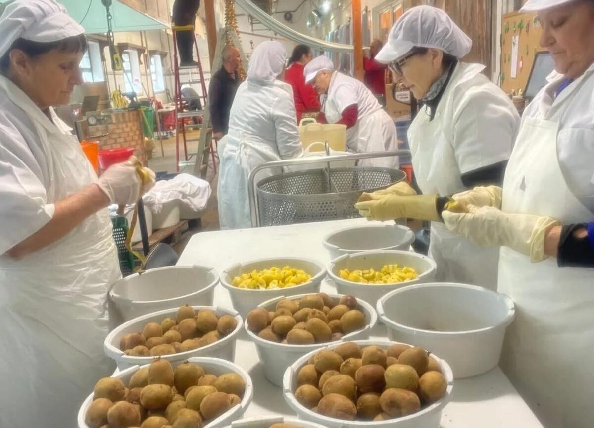 mermeladakiwi_pradaatope-e1765789242687