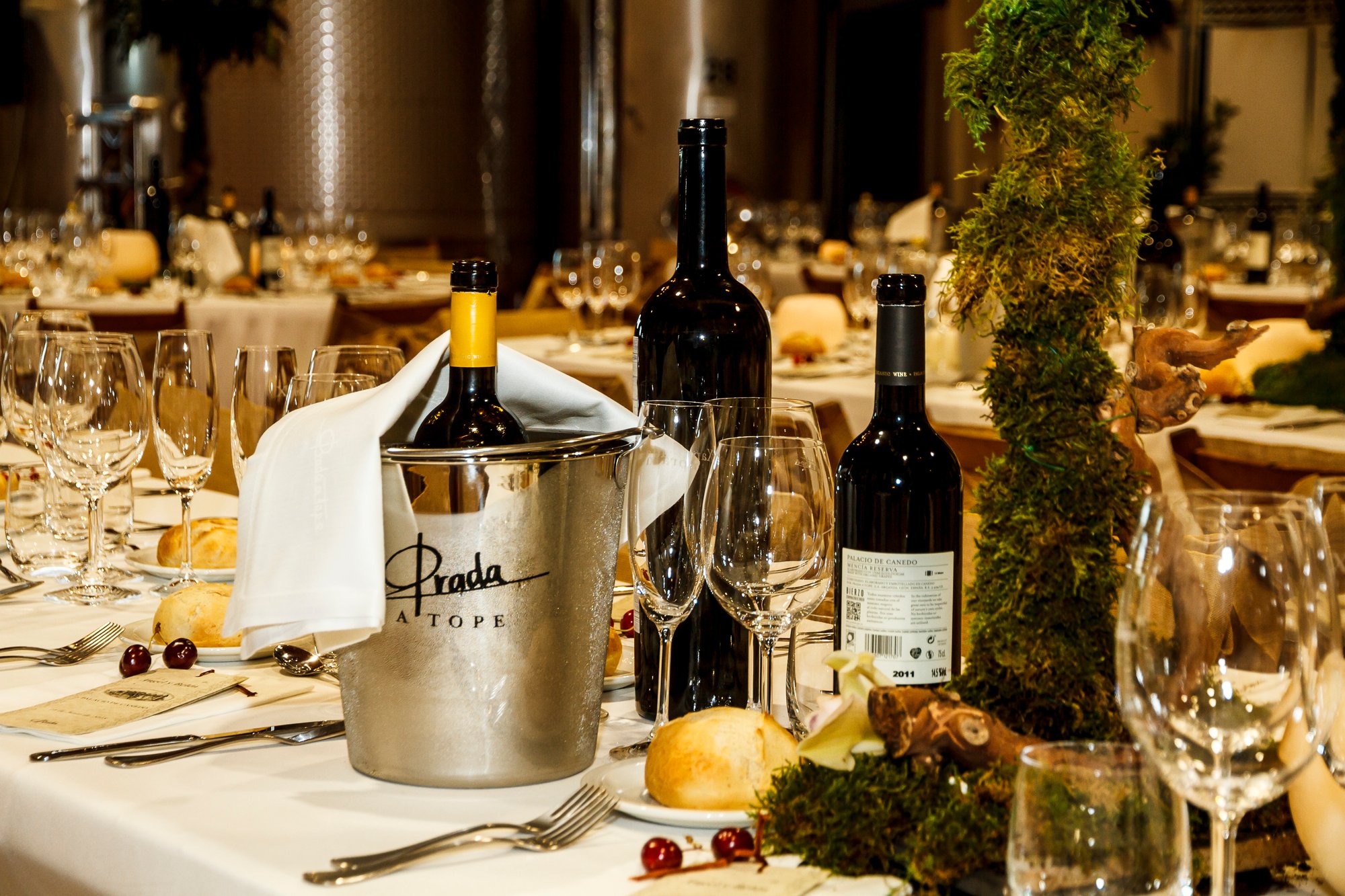 Angel_Belen_IMPR-479