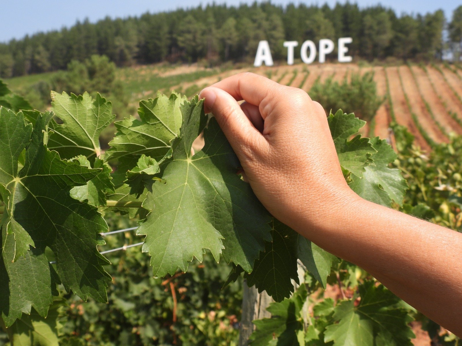 WhatsApp Image 2025-11-11 at 11.40.28 (1)