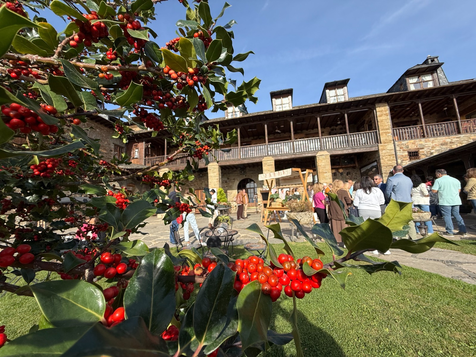 WhatsApp Image 2025-11-11 at 11.40.34 (1)